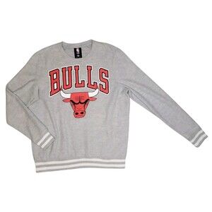 Chicago Bulls NBA Crewneck Sweatshirt Mens MED Gray Pullover Big Spellout